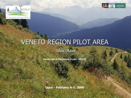 VENETO REGION PILOT AREA Silvia Obber VENETO REGION PILOT AREA Silvia Obber Osservatorio Regionale Suolo - ARPAV Ispra - February 6-7, 2006.