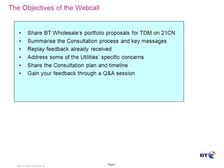 BT TDM on 21CN – Consult 21 Utilities Webcall Laurie Dennard– BT Group Martin Wade – BT Design Bill Du Cann – Consult21 December 10th, 2007 Issue 1.0.