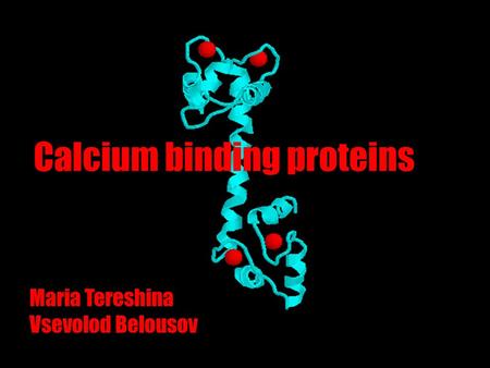 Calcium binding proteins Maria Tereshina Vsevolod Belousov.