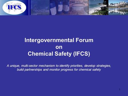 1 Intergovernmental Forum on Chemical Safety (IFCS) A unique, multi-sector mechanism to identify priorities, develop strategies, build partnerships and.