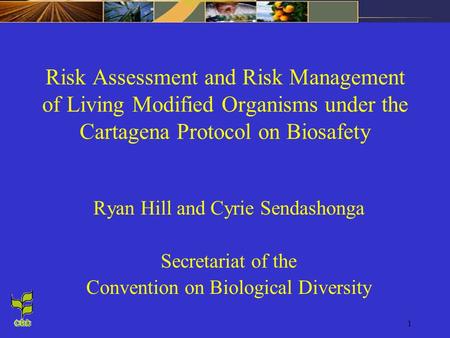 Risk Assessment and Risk Management of Living Modified Organisms under the Cartagena Protocol on Biosafety Ryan Hill and Cyrie Sendashonga Secretariat.