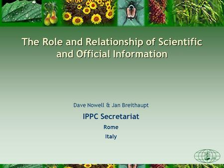 The Role and Relationship of Scientific and Official Information Dave Nowell & Jan Breithaupt IPPC Secretariat Rome Italy.