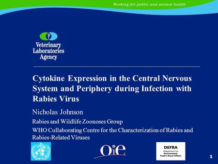 Nicholas Johnson Rabies and Wildlife Zoonoses Group