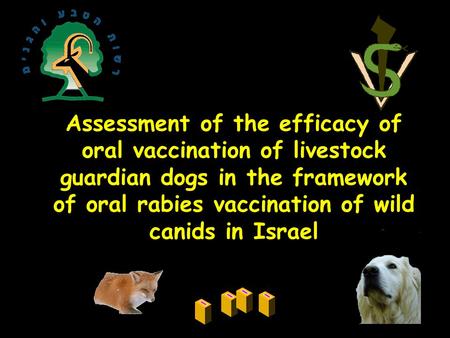 Assessment of the efficacy of oral vaccination of livestock guardian dogs in the framework of oral rabies vaccination of wild canids in Israel.