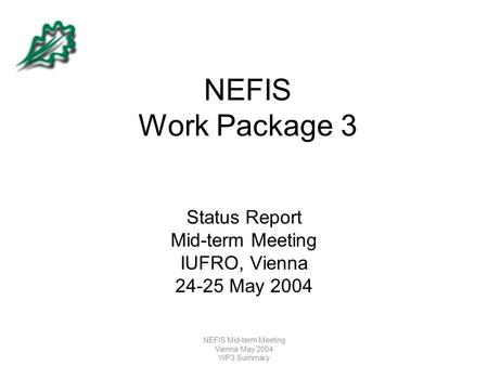 NEFIS Mid-term Meeting Vienna May 2004 WP3 Summary NEFIS Work Package 3 Status Report Mid-term Meeting IUFRO, Vienna 24-25 May 2004.