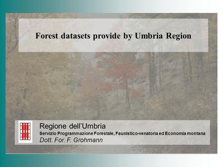 Forest datasets provide by Umbria Region Regione dellUmbria Servizio Programmazione Forestale, Faunistico-venatoria ed Economia montana Dott. For. F. Grohmann.