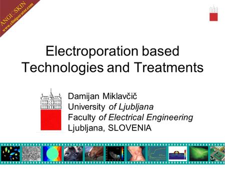 Electroporation based Technologies and Treatments