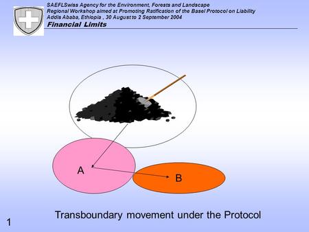 SAEFLSwiss Agency for the Environment, Forests and Landscape Regional Workshop aimed at Promoting Ratification of the Basel Protocol on Liability Addis.