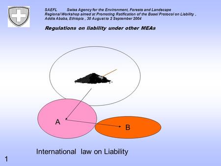 SAEFLSwiss Agency for the Environment, Forests and Landscape Regional Workshop aimed at Promoting Ratification of the Basel Protocol on Liability, Addis.
