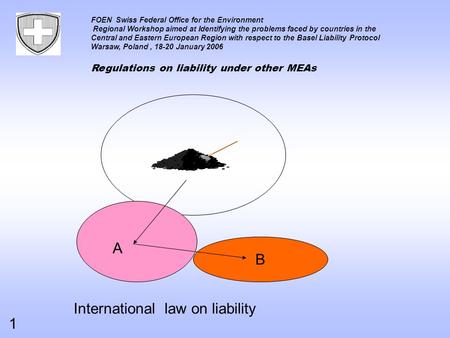 FOEN Swiss Federal Office for the Environment Regional Workshop aimed at Identifying the problems faced by countries in the Central and Eastern European.