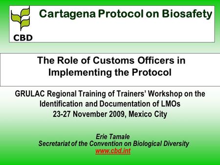 The Role of Customs Officers in Implementing the Protocol GRULAC Regional Training of Trainers Workshop on the Identification and Documentation of LMOs.