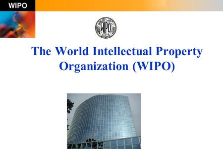 The World Intellectual Property Organization (WIPO)