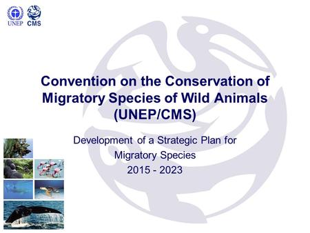 Convention on the Conservation of Migratory Species of Wild Animals (UNEP/CMS) Development of a Strategic Plan for Migratory Species 2015 - 2023.