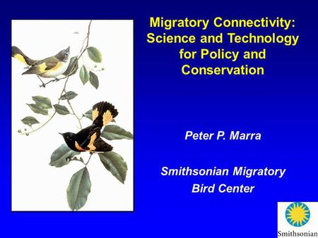 Migratory Connectivity: Science and Technology for Policy and Conservation Peter P. Marra Smithsonian Migratory Bird Center.