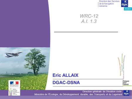 Direction générale de lAviation civile Ministère de l'Écologie, du Développement durable, des Transports et du Logement Direction des Services de la Navigation.