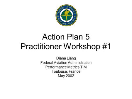 Action Plan 5 Practitioner Workshop #1 Diana Liang Federal Aviation Administration Performance Metrics TIM Toulouse, France May 2002.