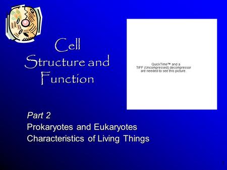 Cell Structure and Function