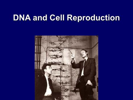 DNA and Cell Reproduction