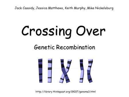 Genetic Recombination