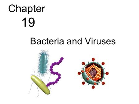 Chapter 19 Bacteria and Viruses.