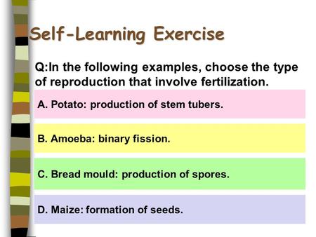 Self-Learning Exercise A. Potato: production of stem tubers. B. Amoeba: binary fission. C. Bread mould: production of spores. D. Maize: formation of seeds.