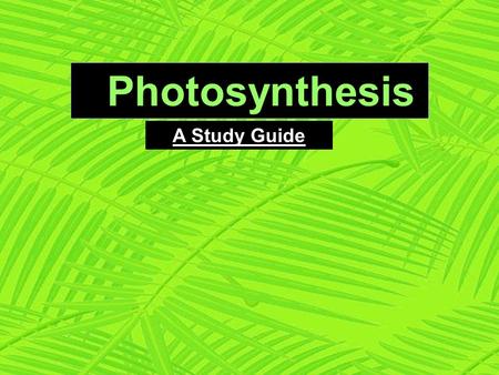 Photosynthesis A Study Guide.