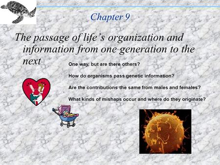 Chapter 9 The passage of life’s organization and information from one generation to the next One way, but are there others? How do organisms pass genetic.