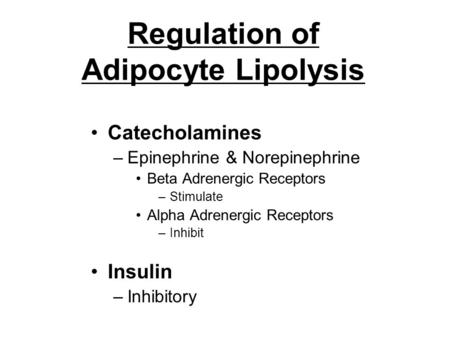 Regulation of Adipocyte Lipolysis