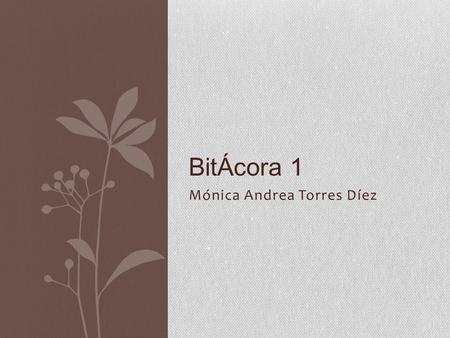 Mónica Andrea Torres Díez BitÁcora 1. MY SECOND LIFE At first when the teacher told us we were going to have a virtual class, and it was going to be on.