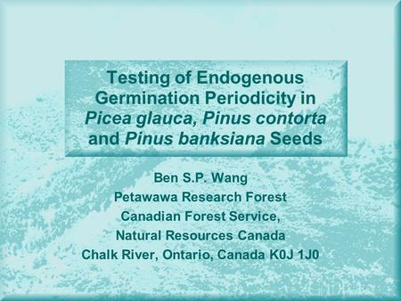 Testing of Endogenous Germination Periodicity in Picea glauca, Pinus contorta and Pinus banksiana Seeds Ben S.P. Wang Petawawa Research Forest Canadian.