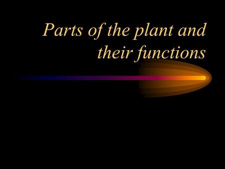 Parts of the plant and their functions