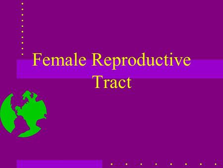 Female Reproductive Tract