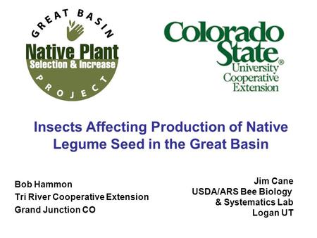 Insects Affecting Production of Native Legume Seed in the Great Basin