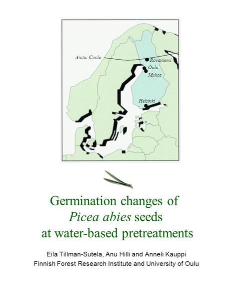 Eila Tillman-Sutela, Anu Hilli and Anneli Kauppi Finnish Forest Research Institute and University of Oulu Oulu Muhos Helsinki Arctic Circle Rovaniemi Germination.
