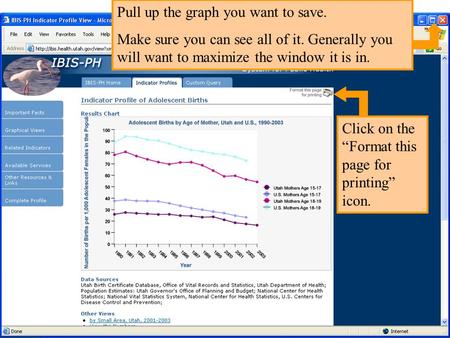 Pull up the graph you want to save. Make sure you can see all of it. Generally you will want to maximize the window it is in. Click on the Format this.