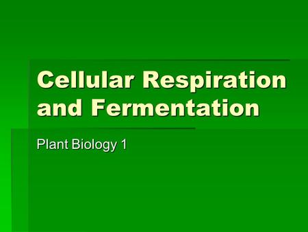 Cellular Respiration and Fermentation