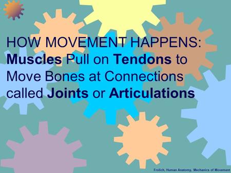 Frolich, Human Anatomy, Mechanics of Movement