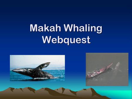 Makah Whaling Webquest. What would I do? What if my way of life was threatened? What if someone said my culture was wrong? Would I give up the way I am.