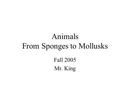 Animals From Sponges to Mollusks Fall 2005 Mr. King.