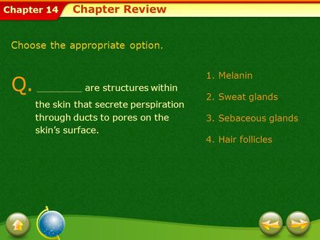 Chapter Review Choose the appropriate option.