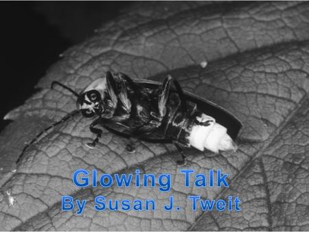 7What is the main difference between the larvae stage and adult stage of fireflies? Ο A. Only larvae emit light. Ο B. Only adults emit light. Ο C. Only.