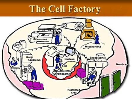 The Cell Factory.