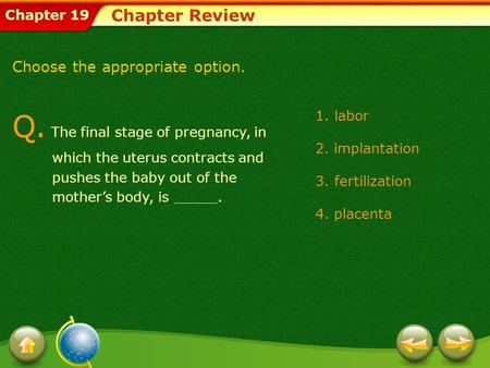 Chapter Review Choose the appropriate option.