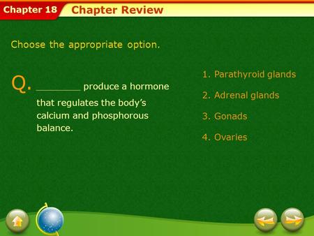 Chapter Review Choose the appropriate option.