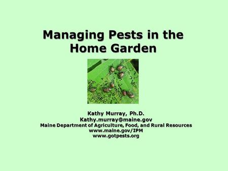 Managing Pests in the Home Garden Kathy Murray, Ph.D. Maine Department of Agriculture, Food, and Rural Resources