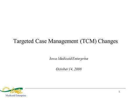 1 Targeted Case Management (TCM) Changes Iowa Medicaid Enterprise October 14, 2008.