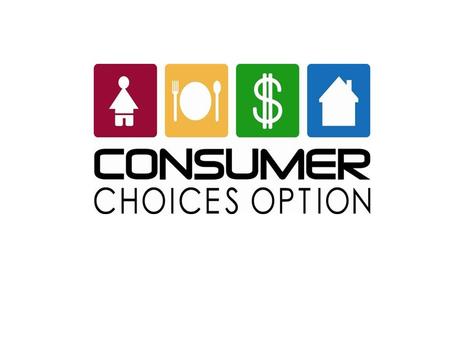 What is the Consumer Choices Option?