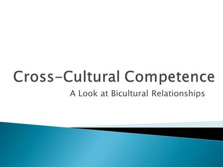 Cross-Cultural Competence