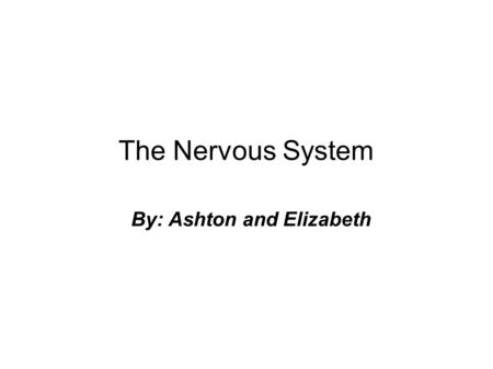 The Nervous System By: Ashton and Elizabeth. The Nervous System By: Ashton and Elizabeth.