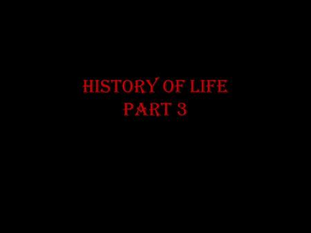 History of Life Part 3.